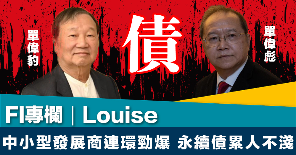 FI專欄｜中小型發展商連環勁爆  永續債累人不淺｜Louise